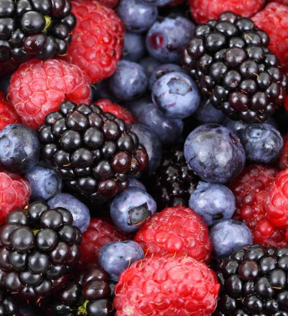 uaugelato_berries-2277